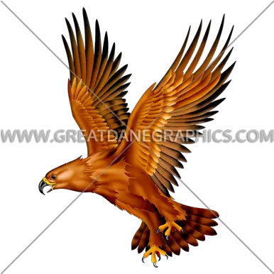 Golden Eagle Production Ready Artwork For T Shirt Printing Golden Eagle Png Golden Eagle Png