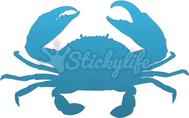 Download Crabs Clipart Blue Crab Crabs Png Png Image With Mud Crab Kerala Crab Transparent Background