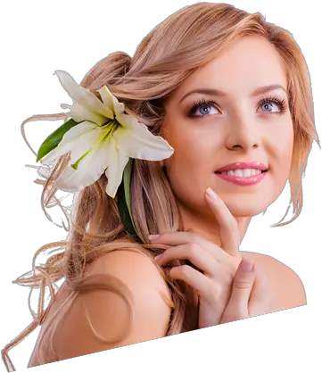 Luxury Hair Styling And Cutting Services Etobicoke Beauty Parlor Models Png Hair Model Png