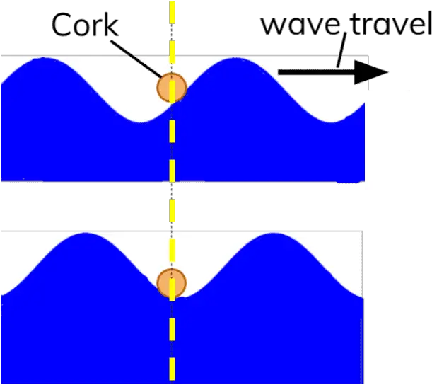 Diagram Showing Transverse Water Diagram Of Transverse Wave No Background Png Water Wave Png