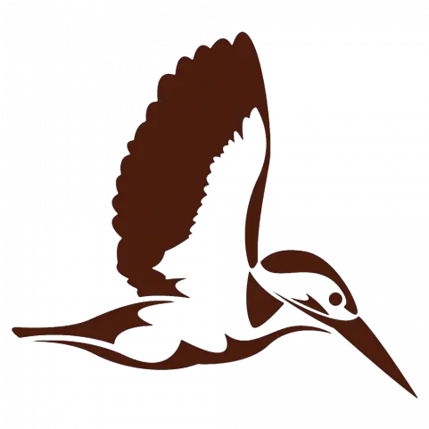 Duck Goose Swan Bird Png Image With Transparent Background Flying Kingfisher Silhouette Humming Bird Png