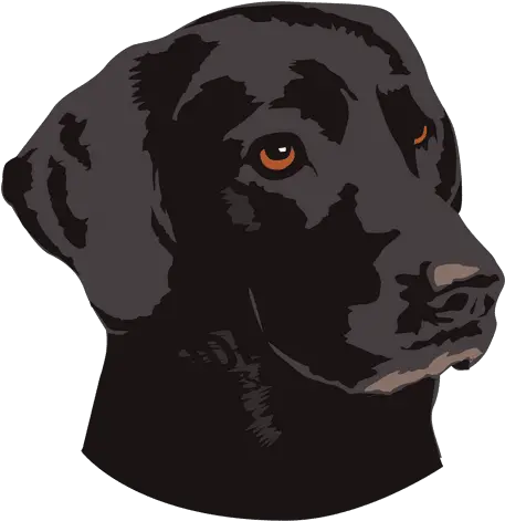 Black Dog Animal Logo Transparent Png U0026 Svg Vector File Perros Negros Animados Dog Transparent