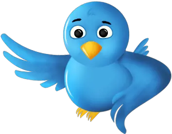 Png Background High Resolution Twitter Logo Png Twitter Bird Transparent