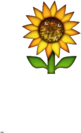 Download Hd Transparent Background Sunflower Emoji Sunflower Emoji Transparent Background Png Sunflower Transparent Background
