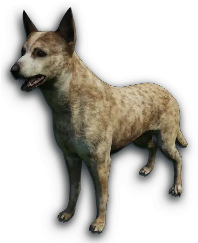 Canidae Far Cry Wiki Fandom Dingo Pelt Far Cry 3 Png Mad Dog Png