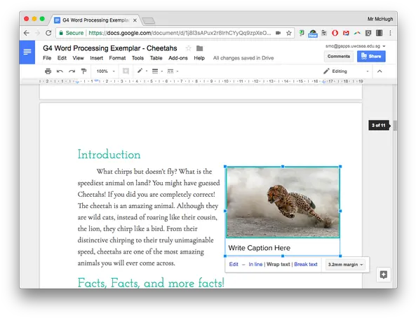 How To Label A Picture In Google Docs Without Typing Next Language Png Word Processing Icon