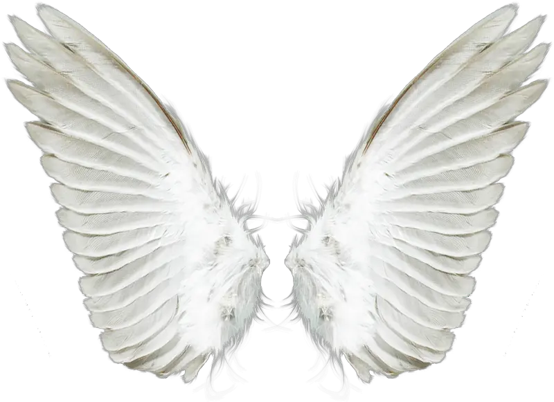 Download Free Png White Angel Wings Transparent Background Angel Wings Png Angel Wings Png