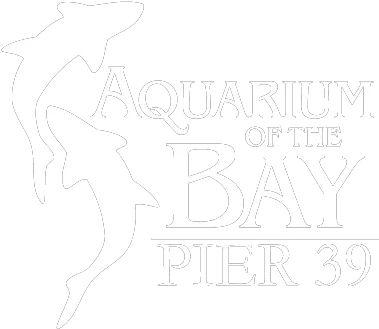 Sea Lion Center U2013 Bay Ecotarium Aquarium Of The Bay San Francisco Logo Png Sea Lion Icon