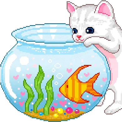 Spongebob Meme Tynker Kitten Png Spongebob Transparent Gif