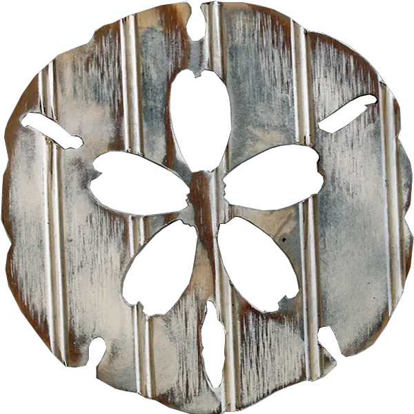 Sand Dollar Lampshade Png Sand Dollar Png