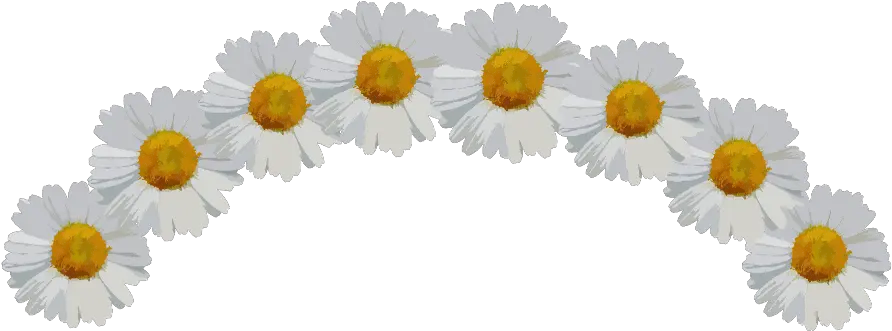 Download Ftestickers Sticker Daisy Flower Crown Png Full Flower Crown Png Transparent Sticker Flower Crown Png
