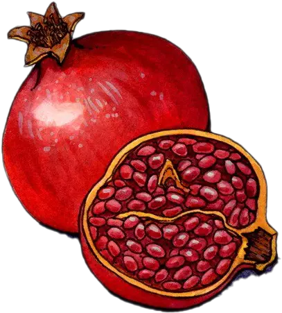 Pomegranate Png Photos Seedless Fruit Pomegranate Png