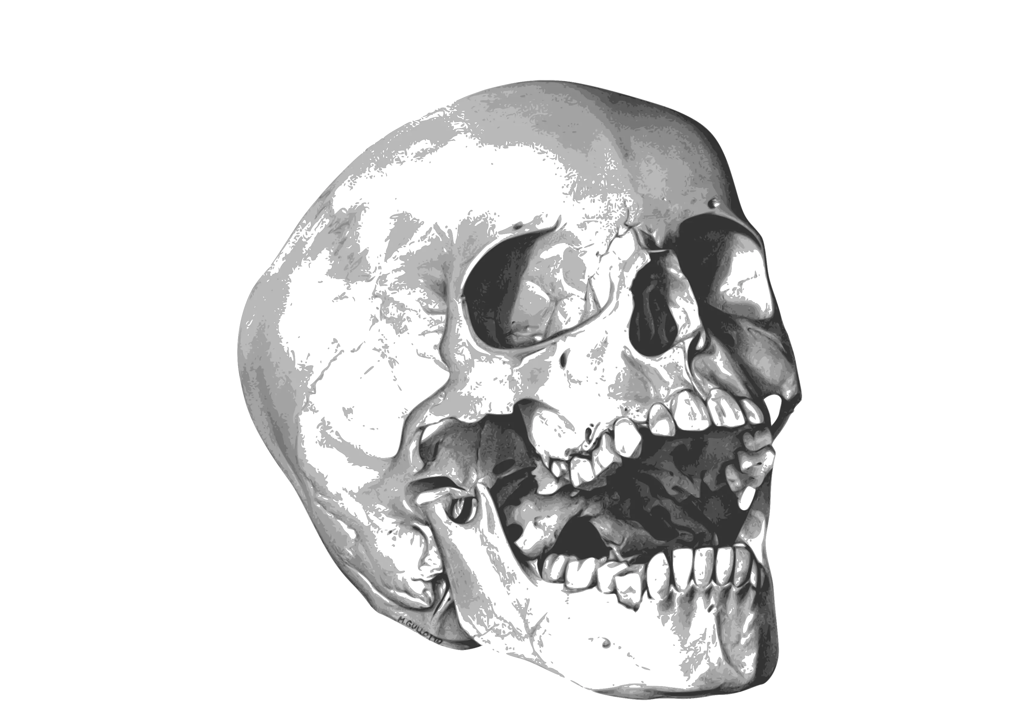 Skull Sticker Png