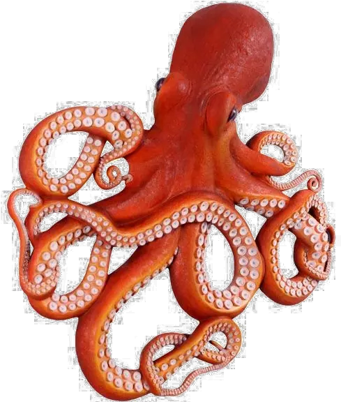 Octopus Png Clipart Octopus Png Octopus Png