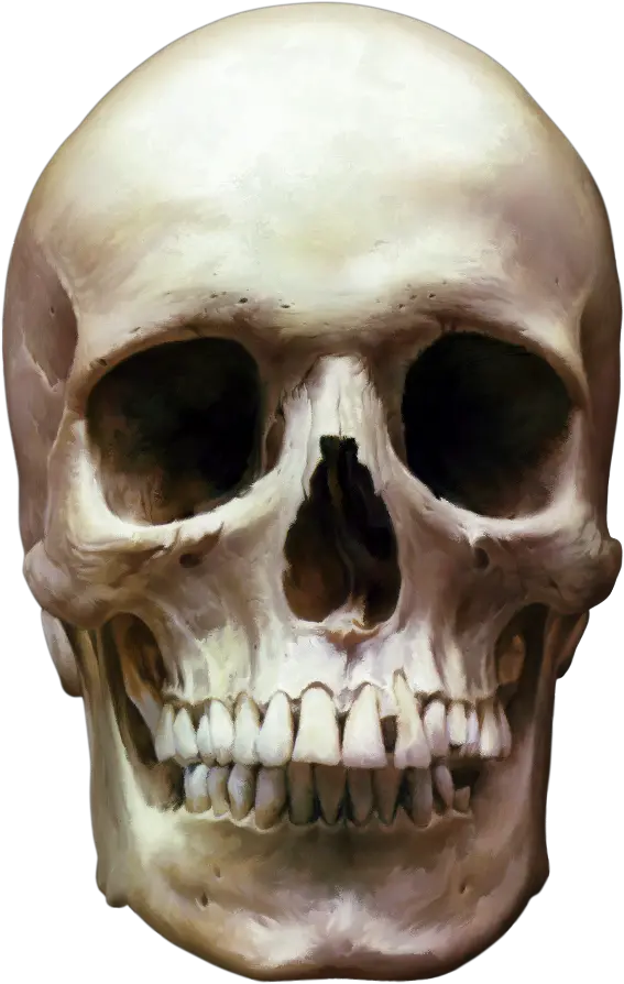 Skull Png White