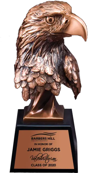 The Eagle Head Trophy Bronze Military Paradise Awards Png Icon