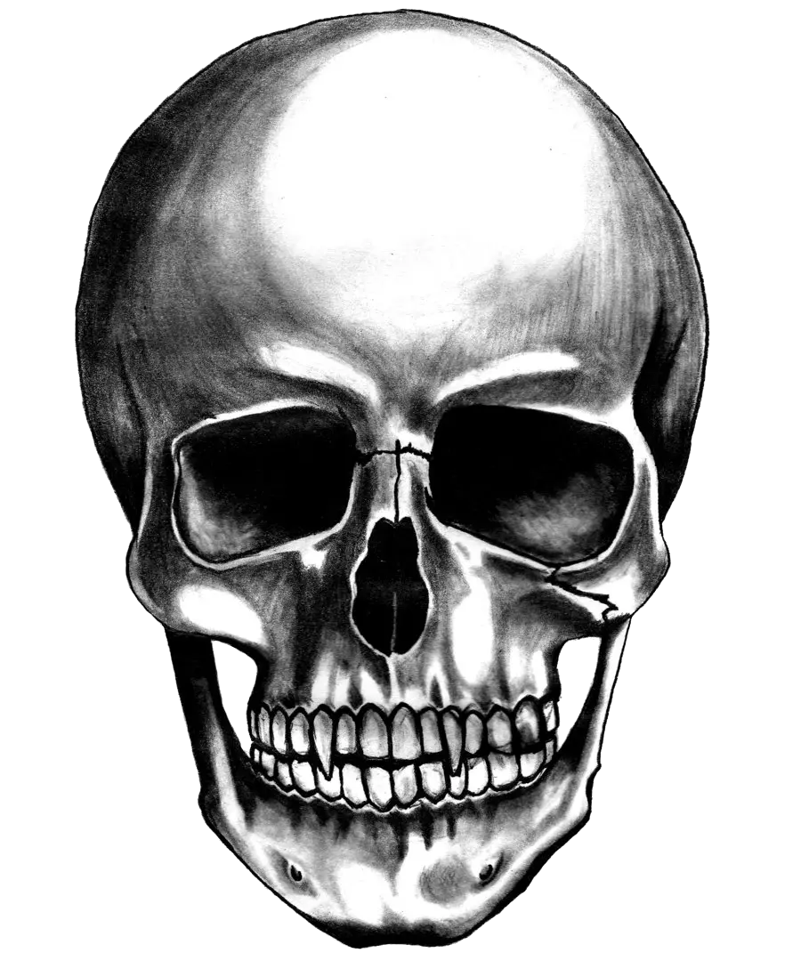 Skull Png Icon