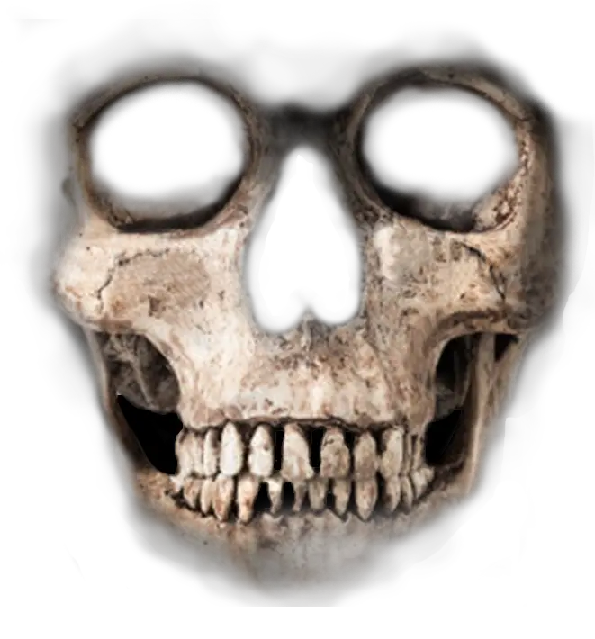 Skull Png File