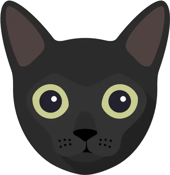 Cat Photo Upload Gifts U0026 Cards Yappycom Bombay Cat Png Grumpy Cat Icon
