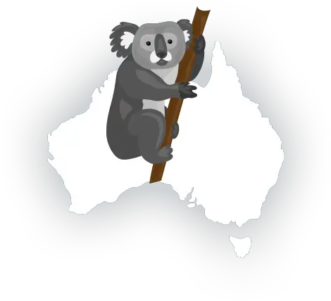 Programs Archive Big Blue Marble Academy Koala Png Club Icon Macon Ga