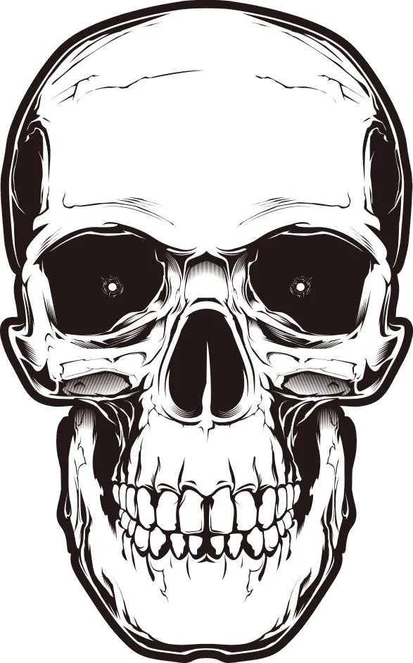 Skull Hd Png