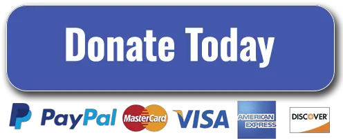 Paypal Donation Button Finished U2013 Faith Safety Network Visa Png Donate Button Png