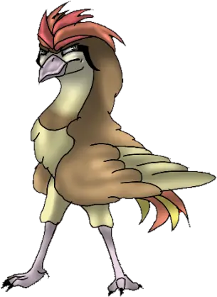 Hawk Kingdom Of Pokemon Wiki Fandom Rooster Png Hawk Png