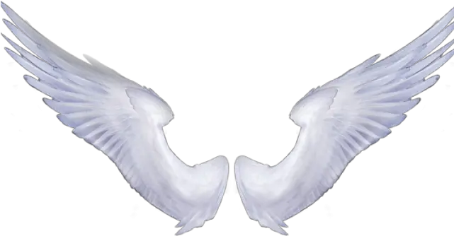 Download Angel Wings Transparent Full Size Png Image Pngkit Transparent Png Angel Wings Angel Halo Transparent Background