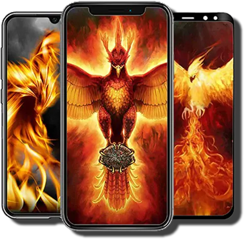 Phoenix Wallpapers Hd Apk 10 Download Apk Latest Version Phoenix Harry Potter Flying Png Phoenix Bird Icon