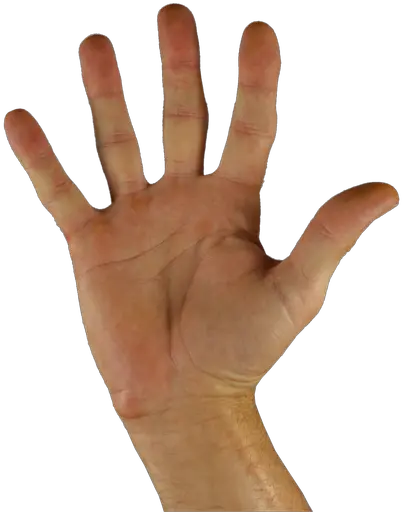 Five Thingsopenpalm Thomas Coon Newton U0026 Frost Hola Mano Png Open Hand Png