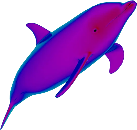 Dolphin Gif No Background Png Vaporwave Transparent