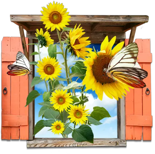 Flowers Sunflowers Window Icon Kupu Kupu Dan Bunga Matahari Png Sunflower Emoji Png