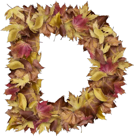 Christmas Leaves Png Letter D From Dry Leaves Wreath Autumn Christmas Leaves Png