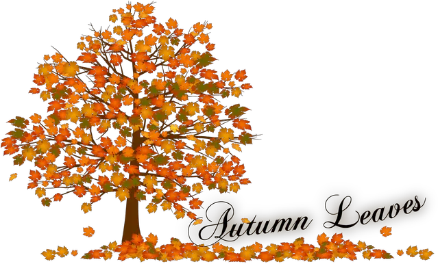 Download Autumn Tree Clip Art Fall Tree Leaves Png Full Clipart Tree Autumn Leaves Falling Leaves Transparent Background