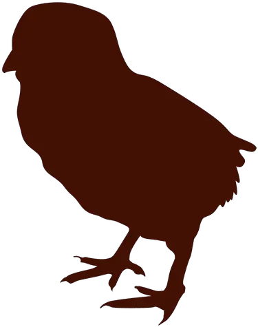 Transparent Png Svg Vector File Little Chicken Vector Png Chicken Little Png