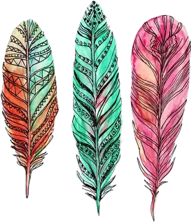 Colourful Feather Drawing Png