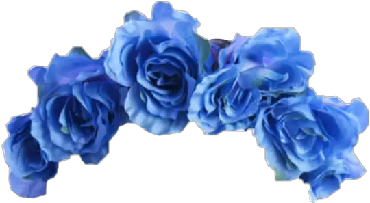 Blue Flower Crown Lightblue Ocean Aesthetic Roses Flowe Aesthetic Flower Crown Png Flower Crown Png
