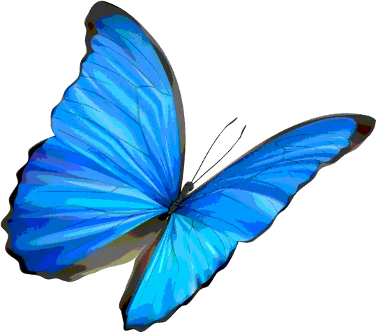 Download Life Is Strange Butterfly Png Transparent Background Blue Butterfly Transparent Life Is Strange Transparent