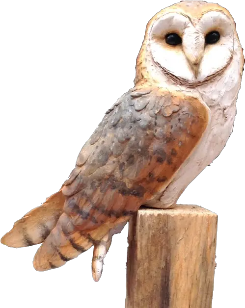 Owl Png Free Image Barn Owl Ceramic Sculpture Barn Owl Png