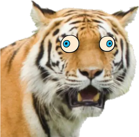 Giant Realistic Flying Tiger Uncle Grandpa Wiki Fandom Funny Face Funny Tiger Png Tiger Face Png