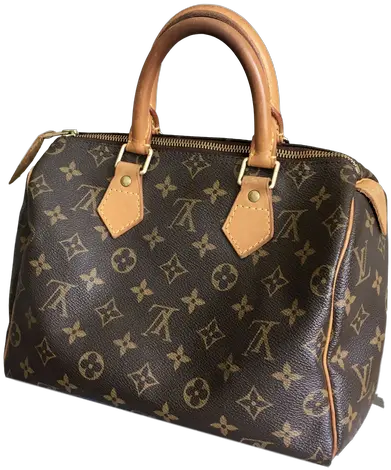 Louis Vuitton Belt Png Bag Louis Vuitton Png Louis Vuitton Png