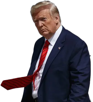 Donald Trump Transparent Background Trump Transparent Background Png Trump Transparent Background