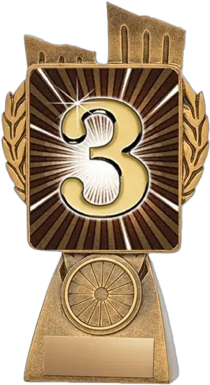 Top Five Trophy Png Logo Story Medicine Asheville Deuxième Place Nba Trophy Png