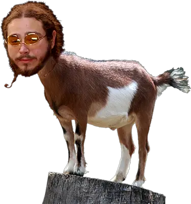 Download Quote Post Malone With Goats Png Post Malone Png