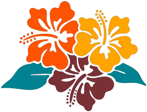 Hibiscus Flowers Tropical Hand Drawn Design Transparent Decorative Png Tropical Flowers Png