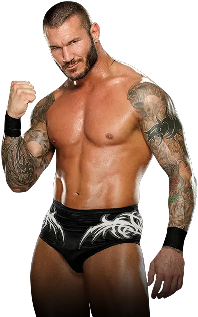 Randy Orton Png 3 Image Randy Orton Wwe Png Randy Orton Png