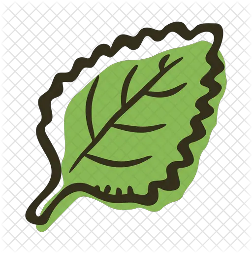 Mint Leaf Icon Of Colored Outline Style Mint Leaf Icon Png Mint Leaves Png