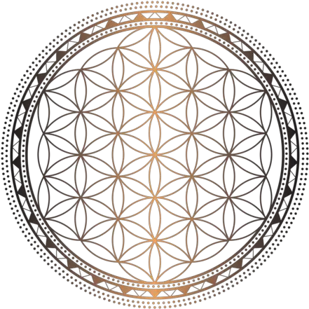 Flower Of Life Coloring Pages Png Eco Friendly Logo Png Flower Of Life Png