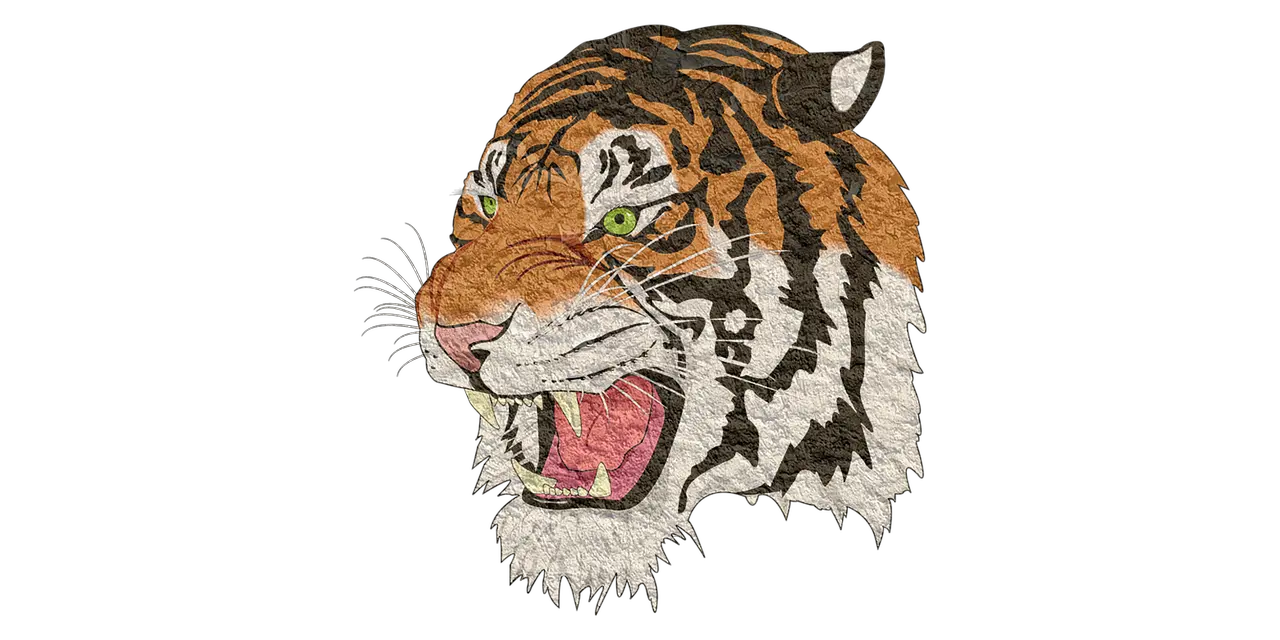 20 Free Puma U0026 Panther Illustrations Pixabay Tiger Images Png Hd Puma Png