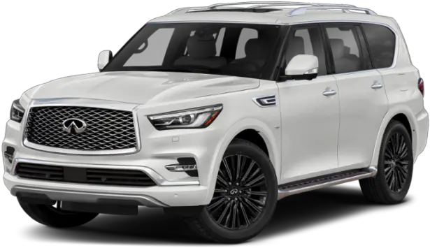 Infiniti Qx80 For Sale Applewood 2019 Infiniti Qx80 Png Infinity Rx 50 Icon